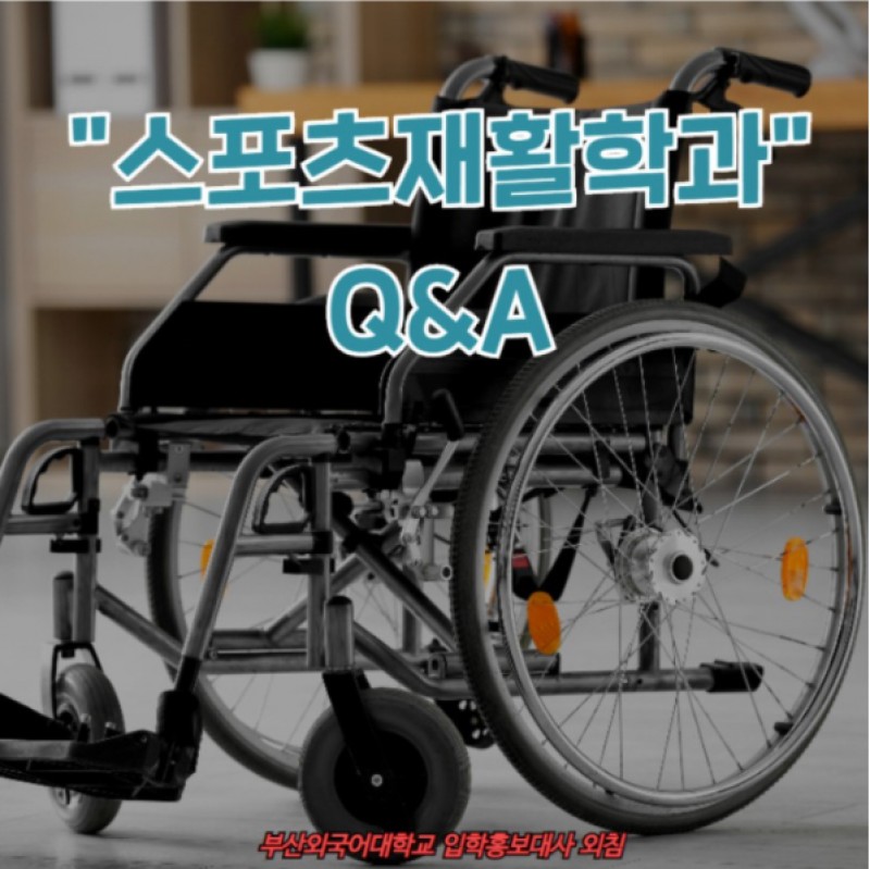 스포츠재활학과 Q&A