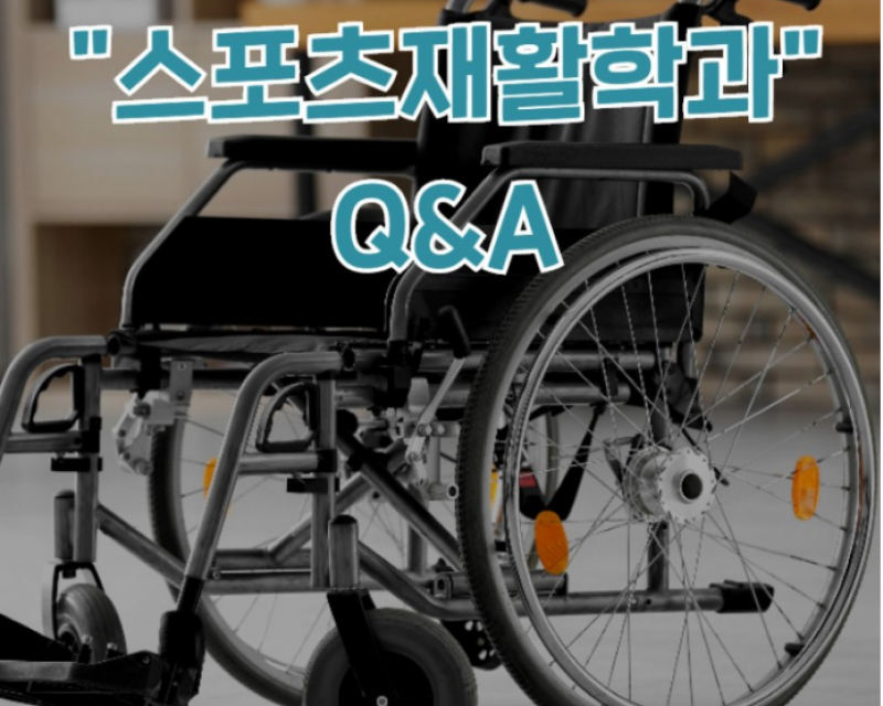 # 부산외대 / 신설학과 / 학과소개 / 스포츠재활학과 / Q&A