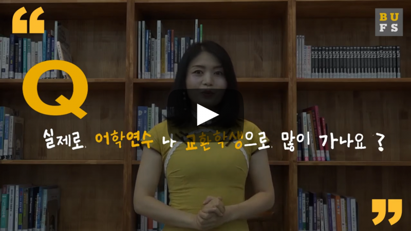 실제로 어학연수나 교환학생으로 많이 가나요?