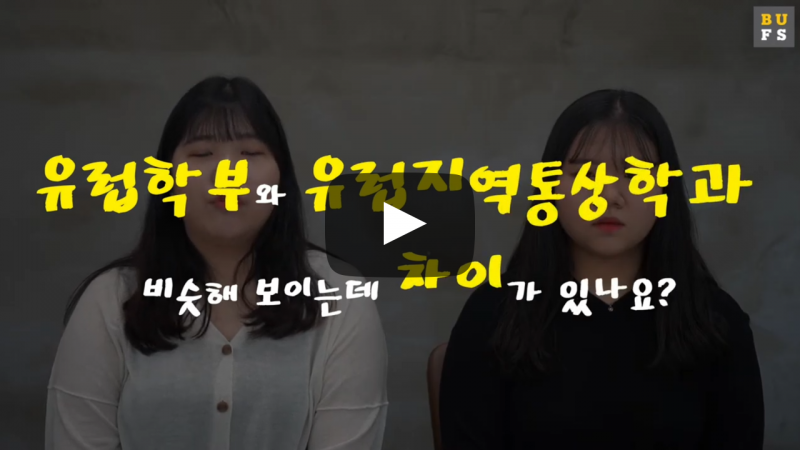 유럽학부와 어떤 차이가 있나요?