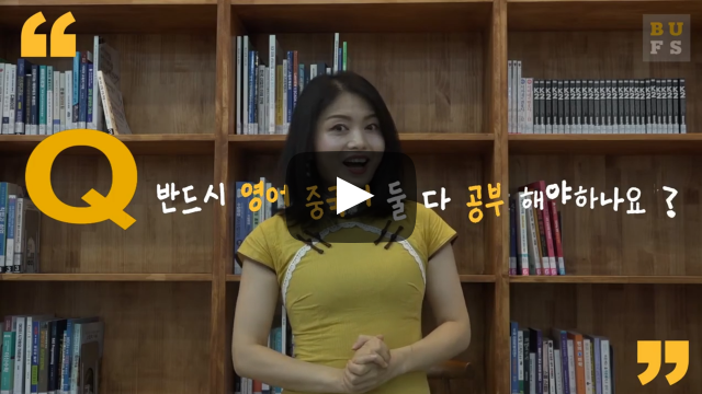 반드시 영어, 중국어 둘 다 공부 해야하나요?