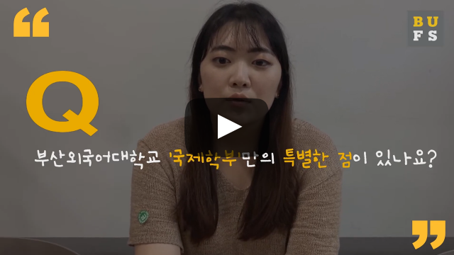 '국제학부'만의 특별한 점이 있나요?