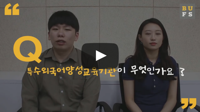 특수외국어양성교육기관이 무엇인가요?