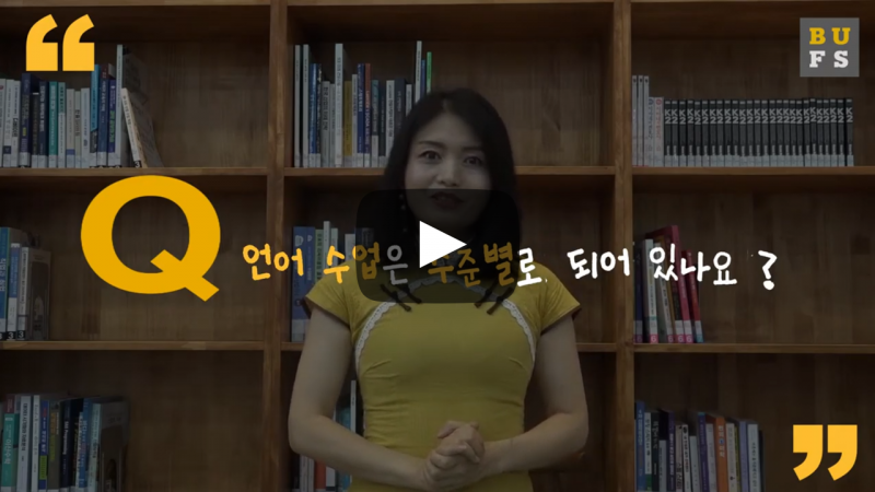 언어 수업은 수준별로 되어 있나요?