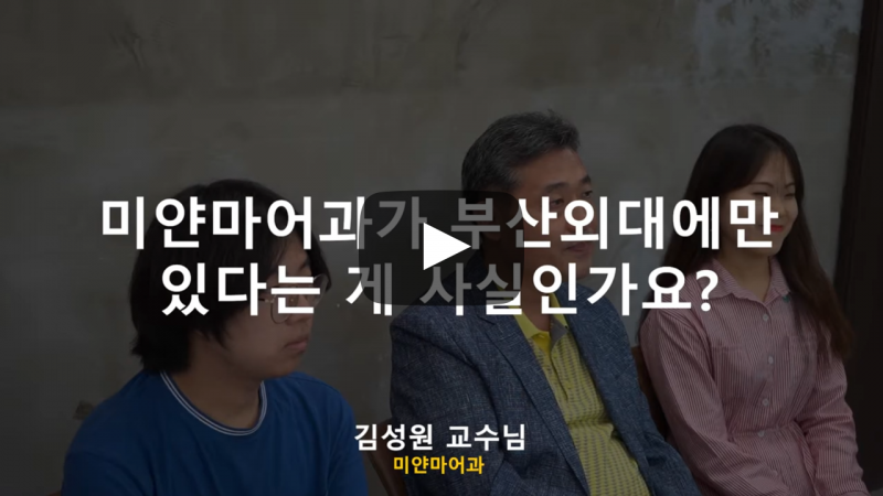 '미얀마어과'가 부산외대에만 있나요?