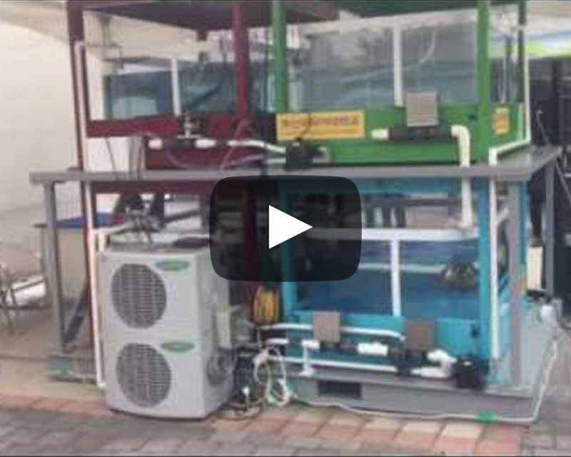 IoT기반 스마트 빌딩 양식장 플랫폼 구현