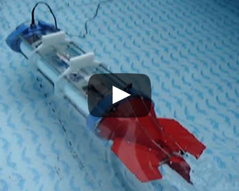 ROV의 수중영상모니터링, 추진력 및 잠항능력 성능시험