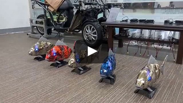 물로기로봇의 RF 통신 1:N 다중 제어 성능시험  (물고기로봇 댄싱 SHOW)