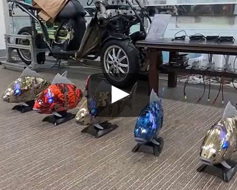 물로기로봇의 RF 통신 1:N 다중 제어 성능시험  (물고기로봇 댄싱 SHOW)